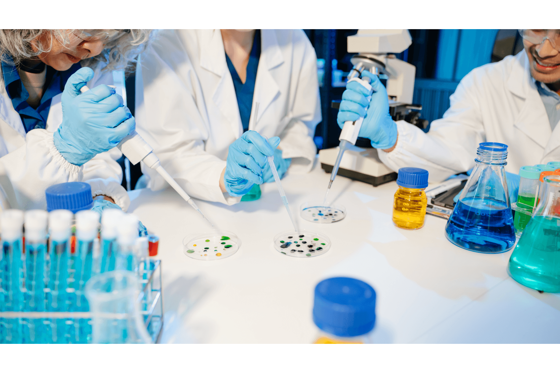 Análise de Perfil Bioquímico e Enzimologia